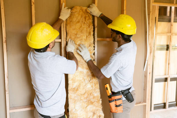 Professional Insulation Contractor in Brookhaven, WV