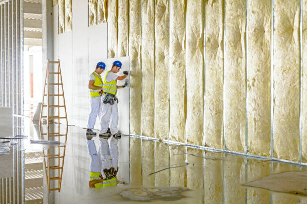 Best Insulation Replacement Services  in Brookhaven, WV
